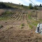 Sleep & Relax * Nizza Monferrato