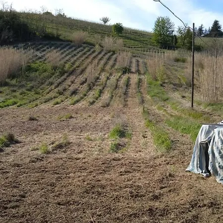 Sleep & Relax * Nizza Monferrato