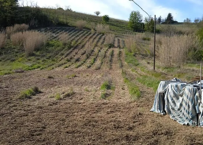 Sleep & Relax * Nizza Monferrato